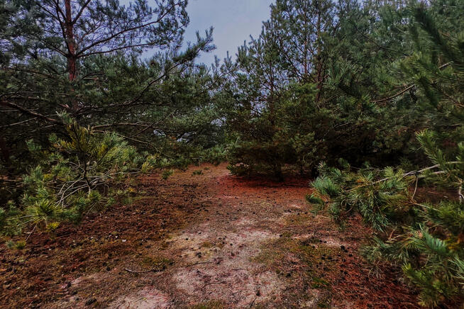 ✅Sprawdź>Atrakcyjna działka w malowniczej okolicy✅