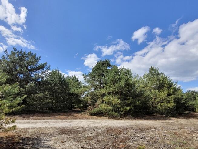 ✅Sprawdź>Atrakcyjna działka w malowniczej okolicy✅