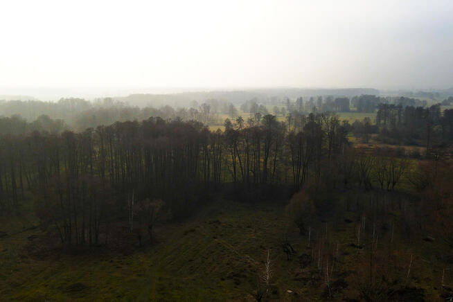 ✅Sprawdź>Atrakcyjna działka w malowniczej okolicy✅