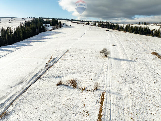 DZIAŁKI ROLNE W WITOWIE