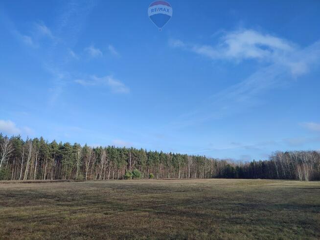 PISKÓRKA _ urokliwa działka w otoczeniu natury