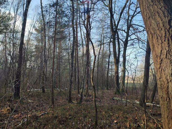 PISKÓRKA _ urokliwa działka w otoczeniu natury