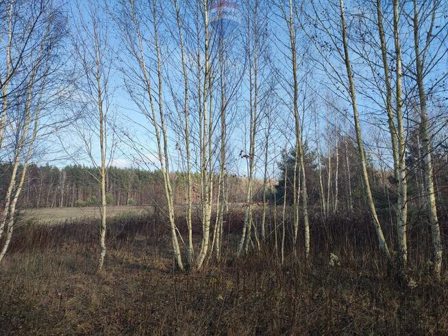 PISKÓRKA _ urokliwa działka w otoczeniu natury