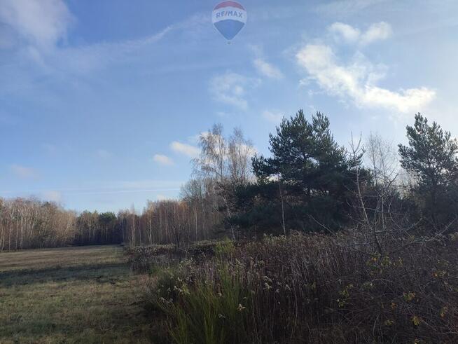 PISKÓRKA _ urokliwa działka w otoczeniu natury