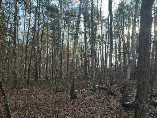 PISKÓRKA _ urokliwa działka w otoczeniu natury