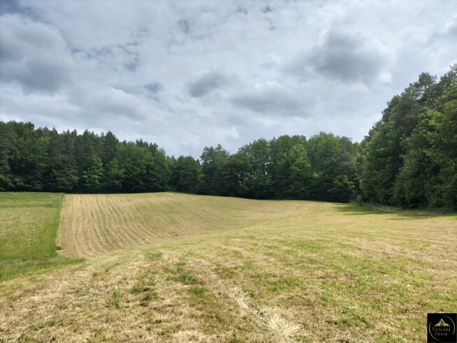 Działka rekreacyjna Berezka gm. Solina