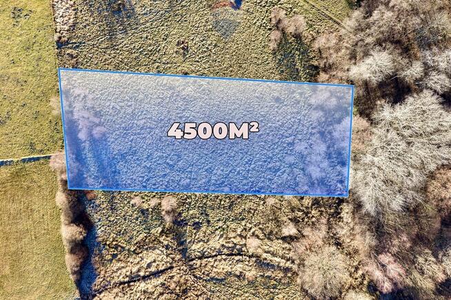 Na sprzedaż działka rolna 4.500 m² (nr 121/6)