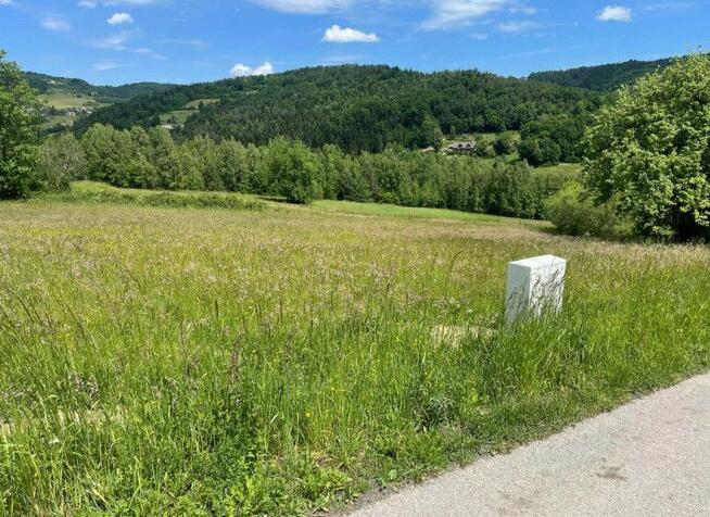 Działka budowlana Limanowa,