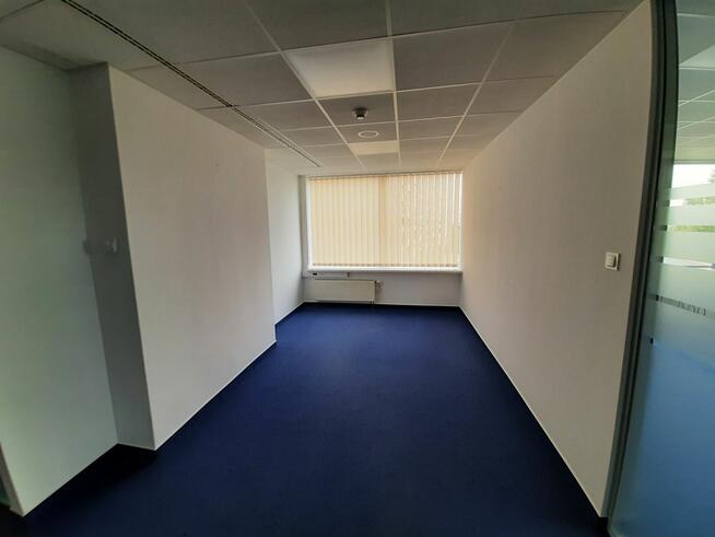 Lokal użytkowy Warszawa gm. Śródmieście Śródmieście, Powiśle,