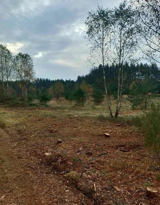 Działka budowlana Przewóz gm. Studzienice,