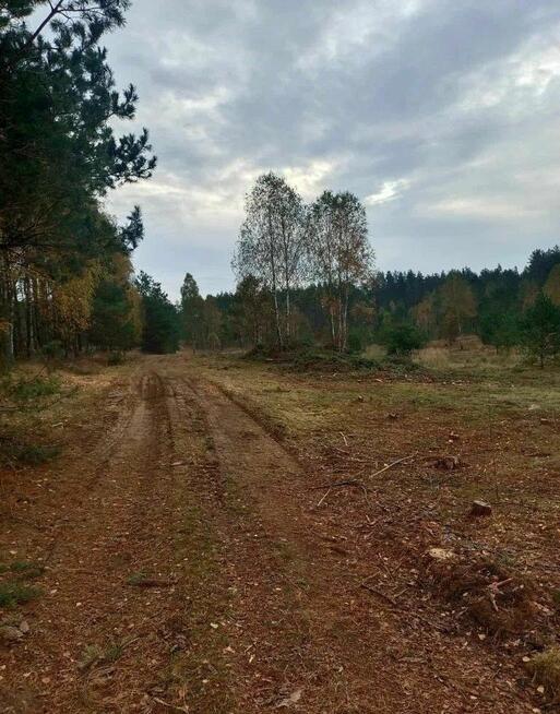 Działka budowlana Przewóz gm. Studzienice,