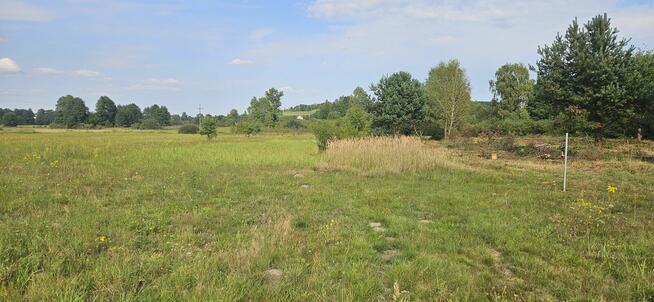 Udział 1/2 nieruchomości niezabudowanej - Borowiec