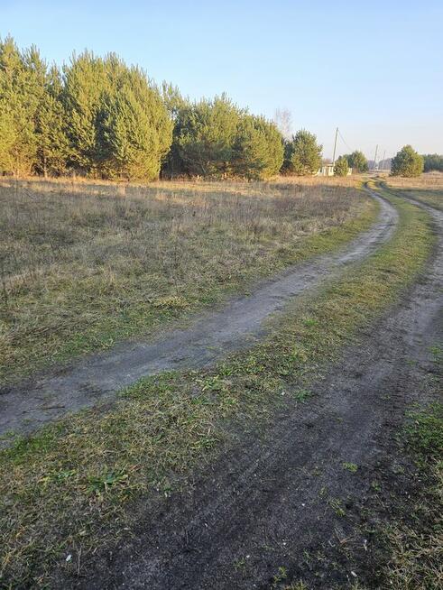 Sprzedam działkę bud- rolną w Łabędziowie 1,1 ha Morawica