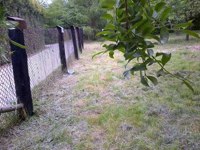 Działka Budowlana. Sprzedaż bez pośrednika