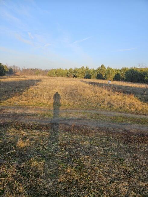 Sprzedam działkę bud- rolną w Łabędziowie 1,1 ha Morawica