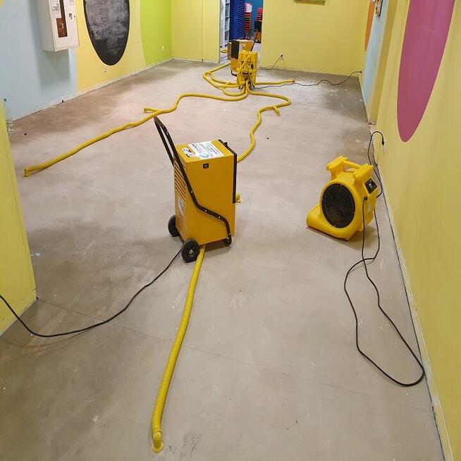 Osuszanie, ozonowanie, wynajem osuszaczy