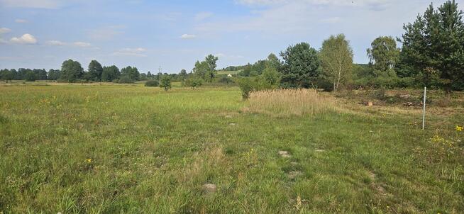 Udział 1/2 nieruchomości niezabudowanej - Borowiec