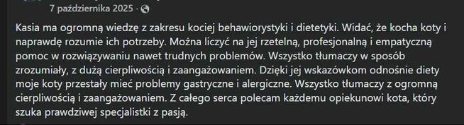 Koci behawiorysta dietetyk behawioryzm kot
