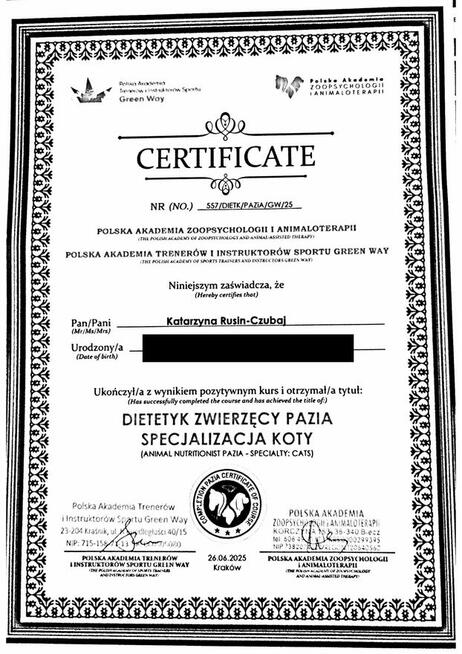 Koci behawiorysta dietetyk behawioryzm kot