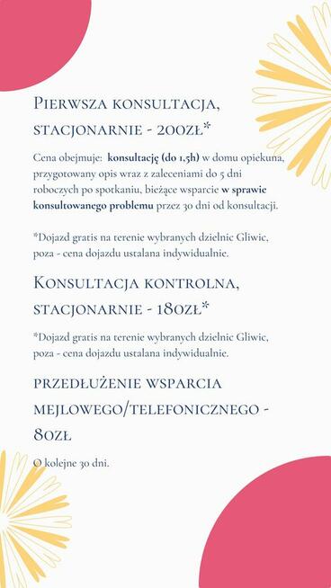 Koci behawiorysta dietetyk behawioryzm kot