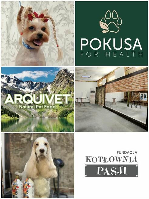 SZKOLENIE GŁÓWKOWE dla groomerów!