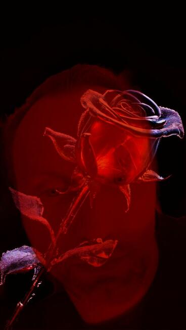 Szukam kobiety fajnej towarzyskiej