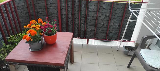 Zamiana mieszkań komunalnych