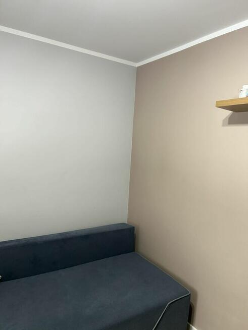 Malarz, parkieciarz, złota rączka - wolny termin