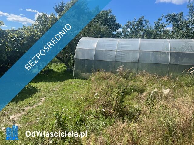 Syndyk sprzeda udział w wysokości 1/4, Kłodowo, działki nr 70/1, 70/2, 69/1, 71/1, 71/2, 72/1, 72/