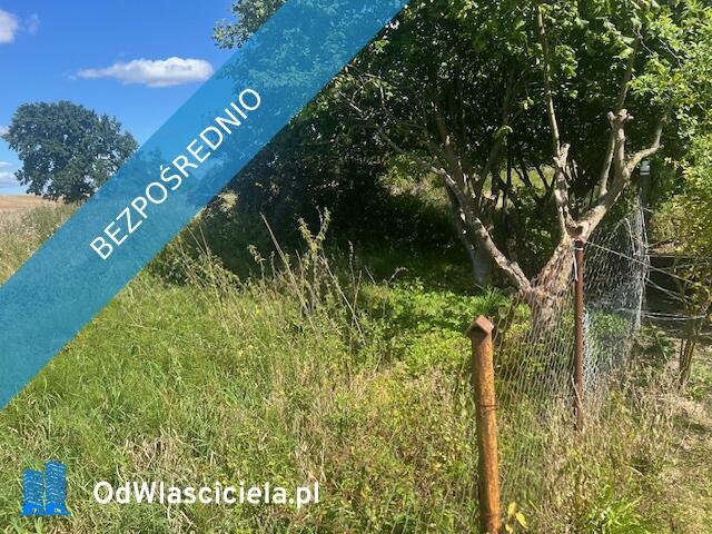 Syndyk sprzeda udział w wysokości 1/4, Kłodowo, działki nr 70/1, 70/2, 69/1, 71/1, 71/2, 72/1, 72/