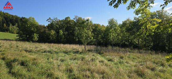 Działka leśna Wola Skrzydlańska gm. Dobra