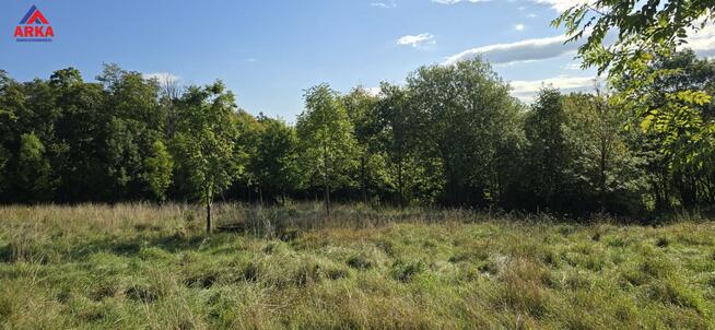 Działka leśna Wola Skrzydlańska gm. Dobra