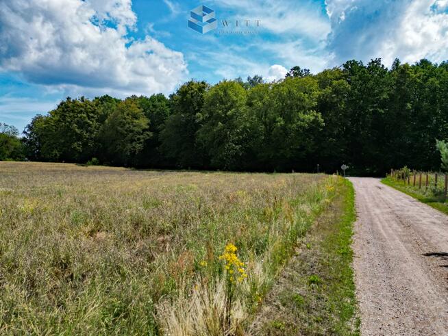 Działka budowlana Grabowiec gm. Susz