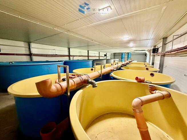 Lokal użytkowy Łukta