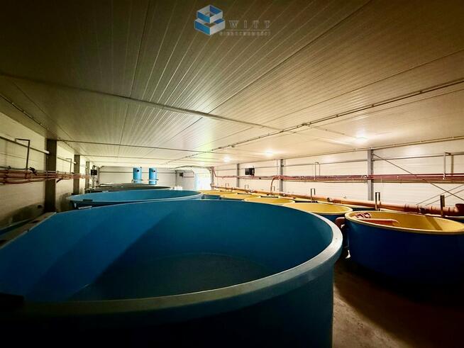 Lokal użytkowy Łukta