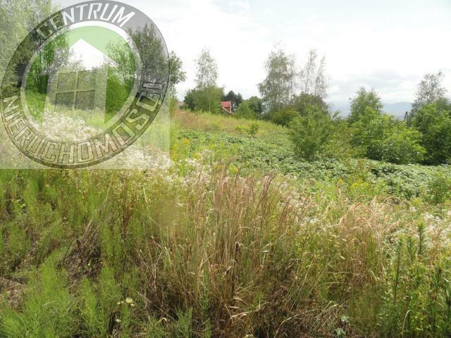 Działka budowlana Biczyce Górne gm. Chełmiec