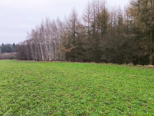 Działka budowlana Zwierzewo gm. Ostróda,