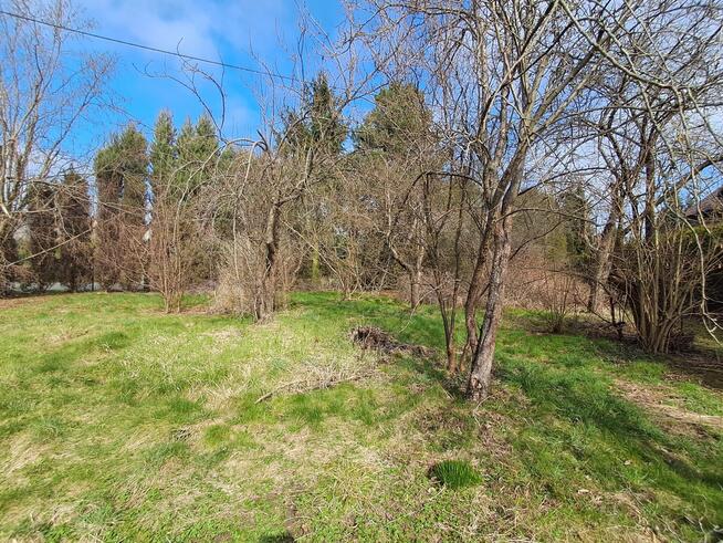 Siedlisko w Sadurkach