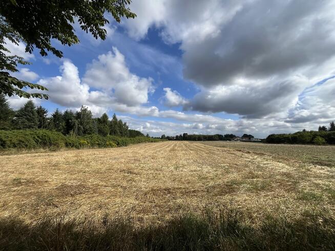 Siedlisko - Tomaszowice -dom+11000m2 działki