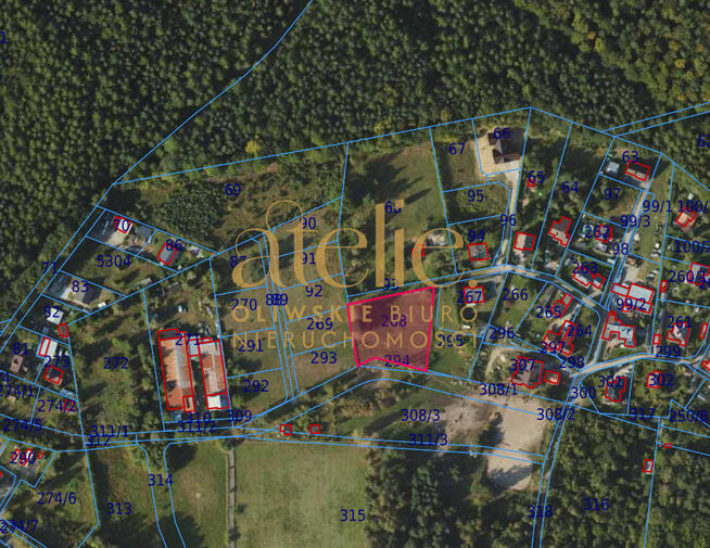 Między lasem a miastem – w sercu Chwarzna!