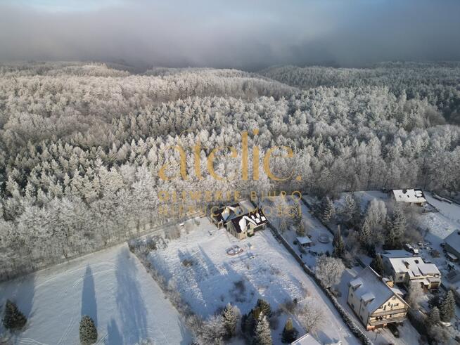 Między lasem a miastem – w sercu Chwarzna!