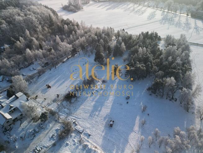 Między lasem a miastem – w sercu Chwarzna!