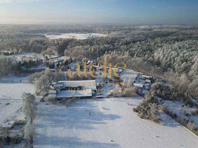 Między lasem a miastem – w sercu Chwarzna!