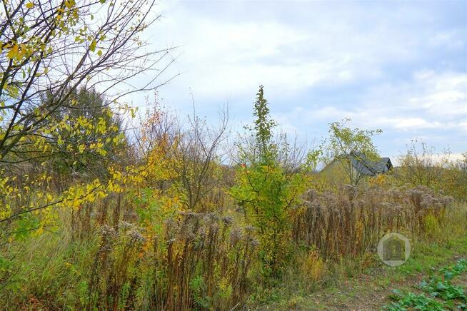Wojcieszyce, za salonem Toyota, cena do negocjacji
