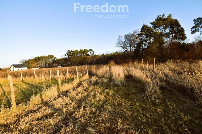Działka budowlana pod lasem