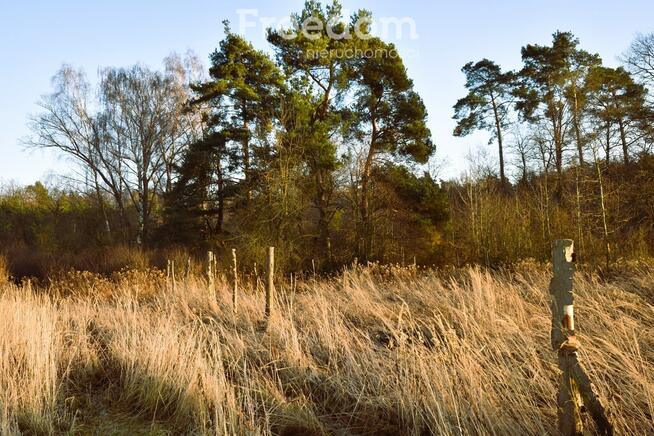 Działka budowlana pod lasem
