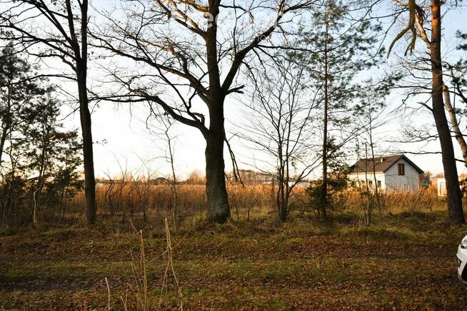 Działka budowlana pod lasem