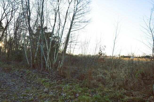 Działka budowlana pod lasem