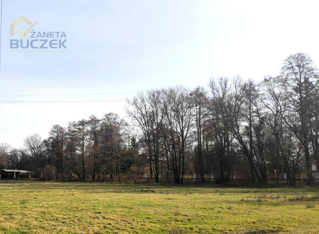 Działka budowlana Nieborów,