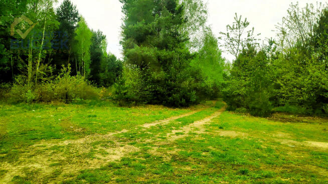 Działka rolna Juliopol gm. Młodzieszyn,